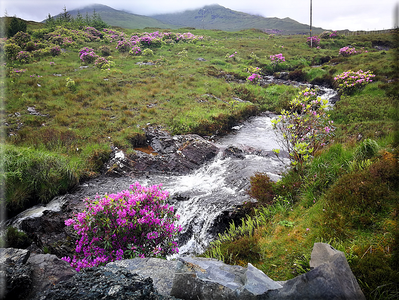 foto Parco nazionale di Connemara